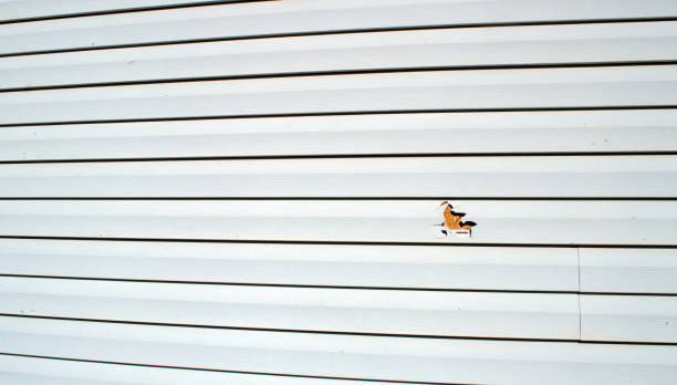 Affordable siding repair and maintenance services in Haynesville, LA
