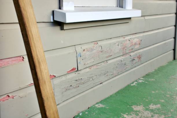 Professional Siding Installation & Repair in Haynesville, LA